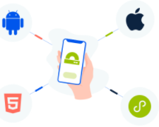 真实年龄认证系统